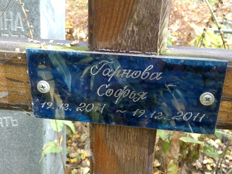 Софья Гарнова