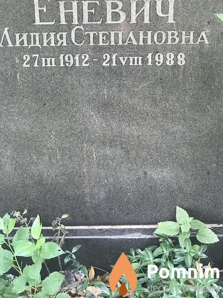 Еневич Лидия Степановна