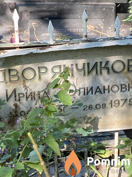 Дворянчикова Ирина Олиановна