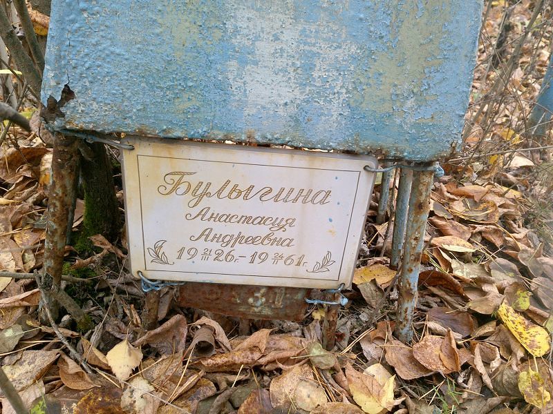 Булыгина Анастасия Андреевна