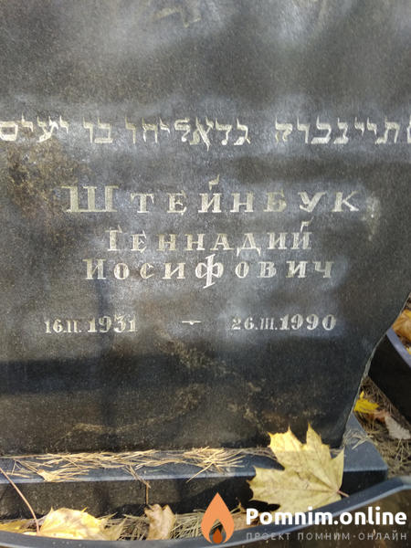 Штейнбук Геннадий Иосифович