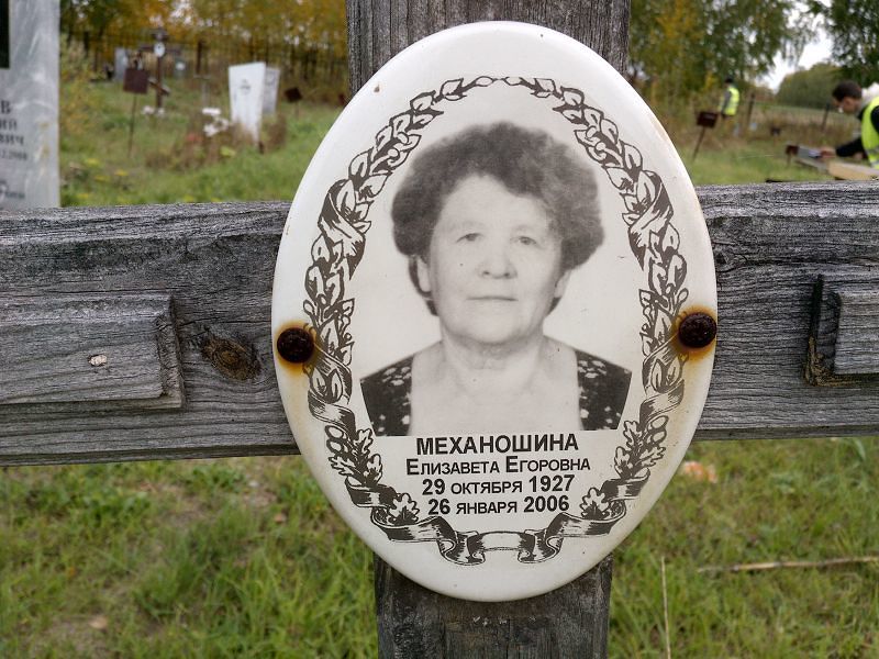 Механошина