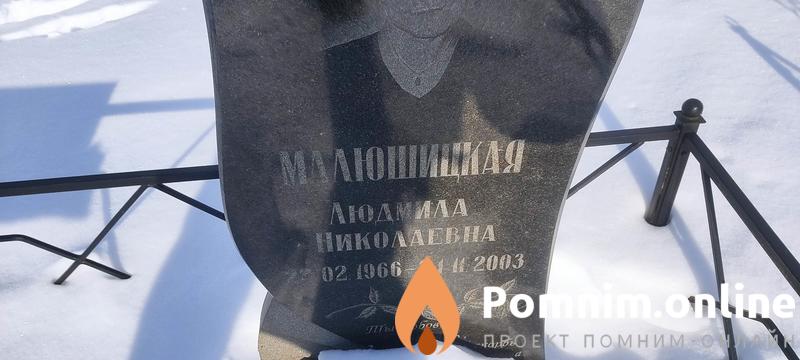 Малюшицкая Людмила Николаевна