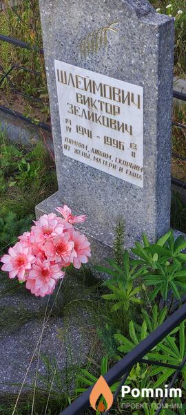 Шлеймович Виктор Зеликович