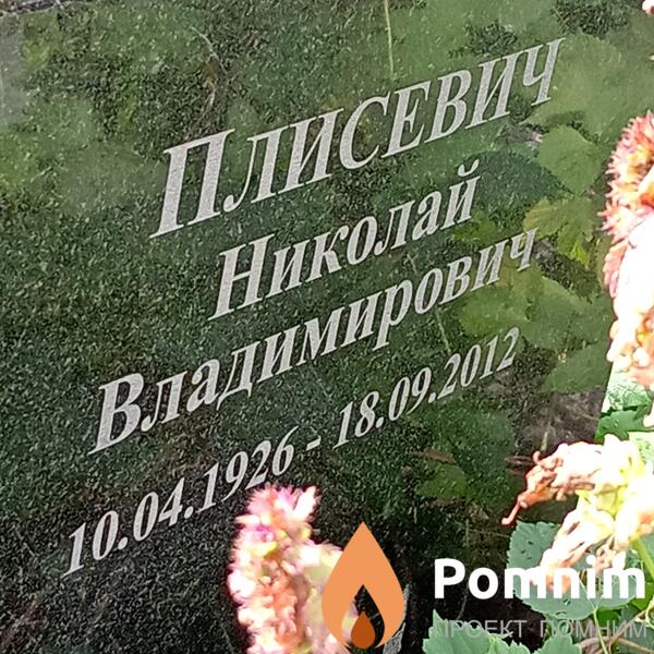 Плисевич Николай Воадимирович