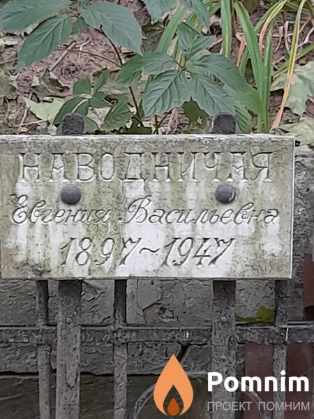 Наводничная Евгения Васильевна