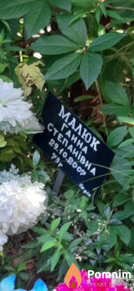 Мклюк Ганна Степановна