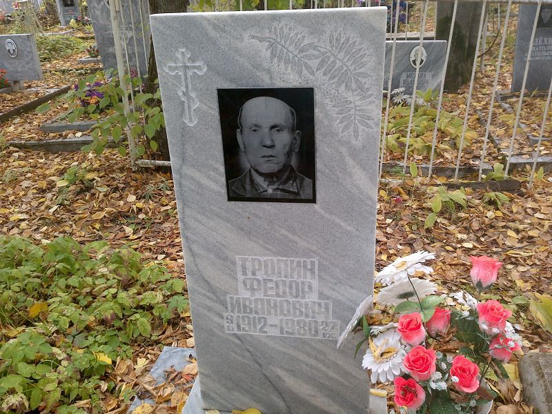 Тропин
