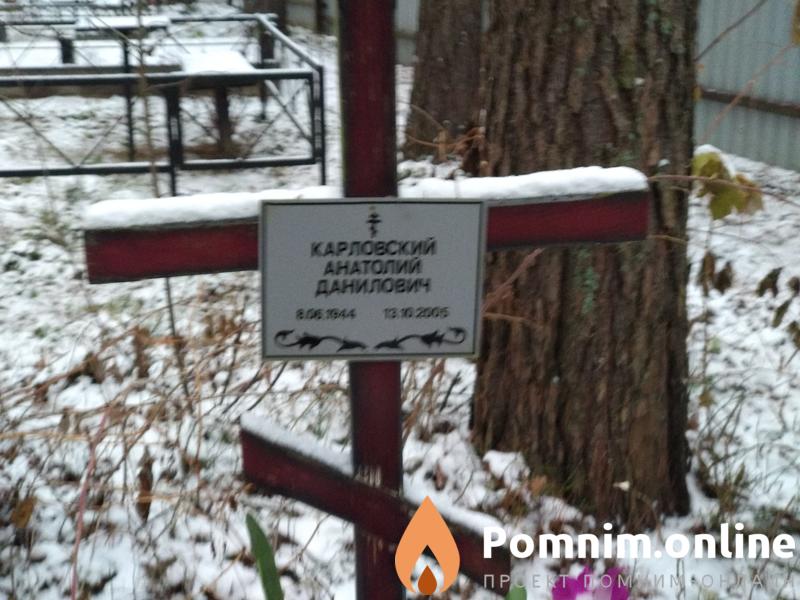 Карловский Анатолий Данилович
