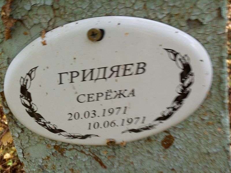 Серёжа Гридяев