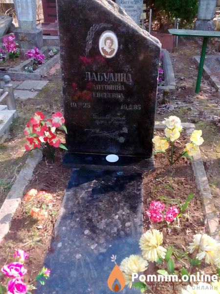 Лабудина Антонина Евсеевна