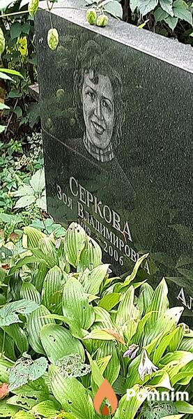 Серкова Зоя Владимировна