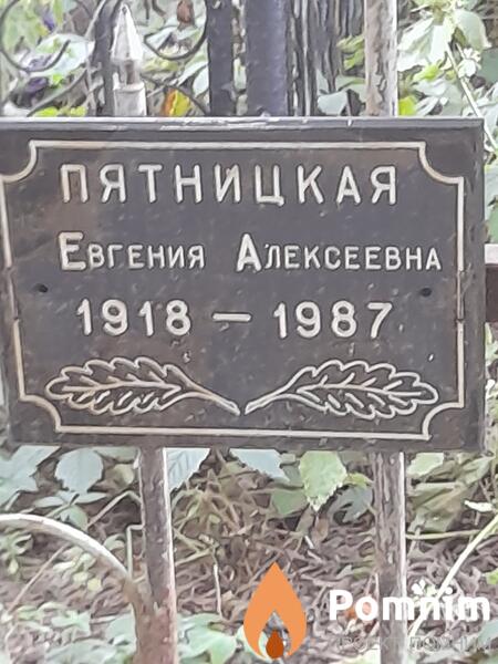 Пятницкая Евгения Алексеевна