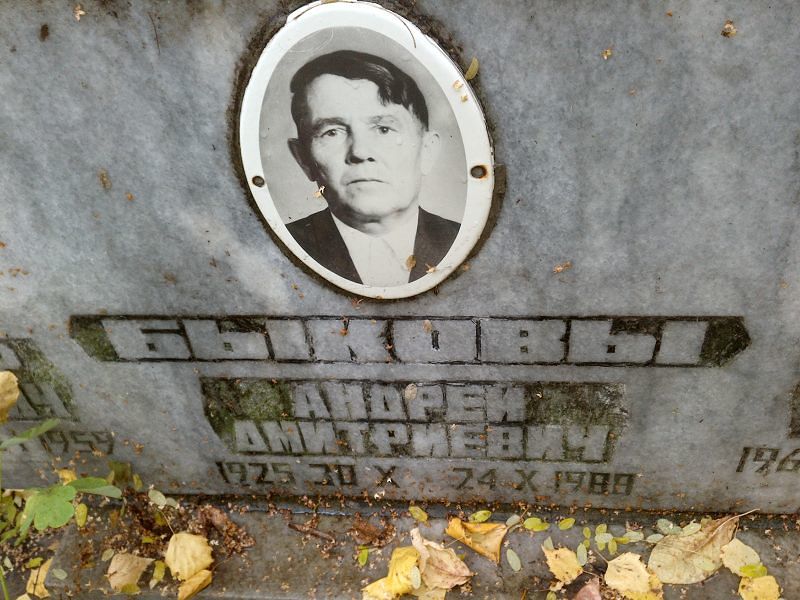 Быков