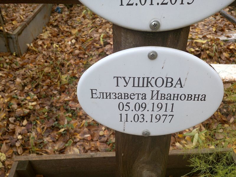 Тушкова