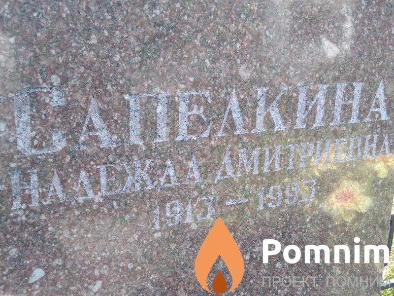 Сапелкина Надежда Дмитриевна