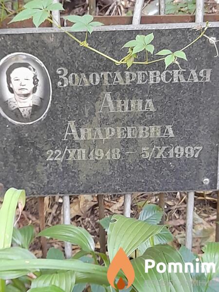 Золотаревская Анна Андреевна