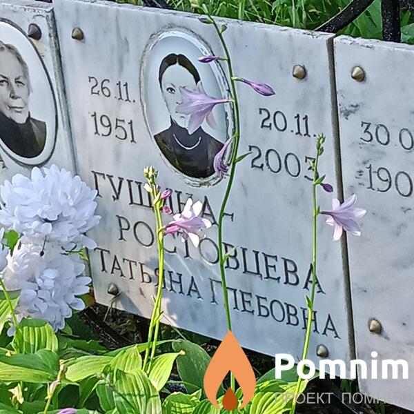 Гущинаростовцева Татьяна Глебовна