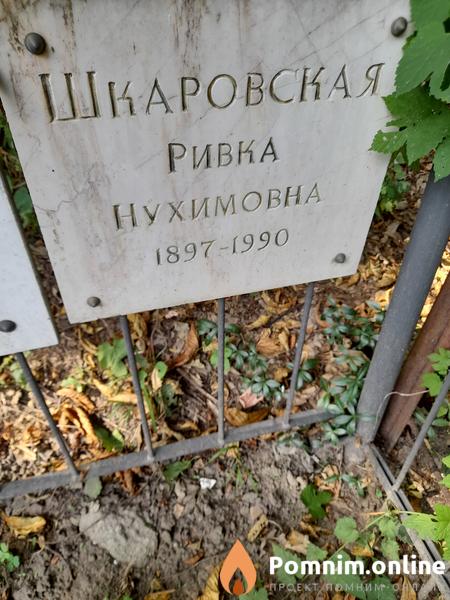 Шкаровская Ривка Нухимовна
