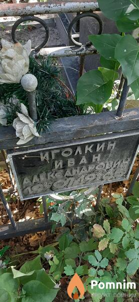 Иголкин Иван Александрович