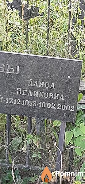 Славенцова Алиса Зеликовна