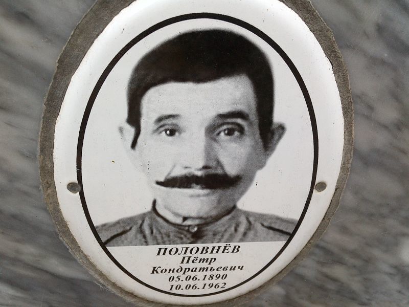 Половнев