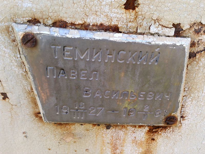 Теминский