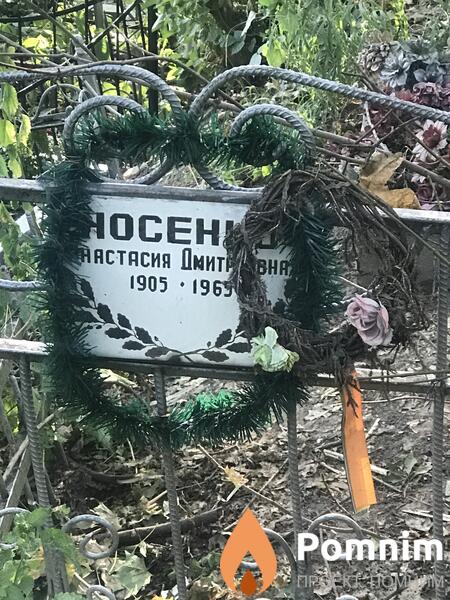 Носенко Анастасия Дмитриевна