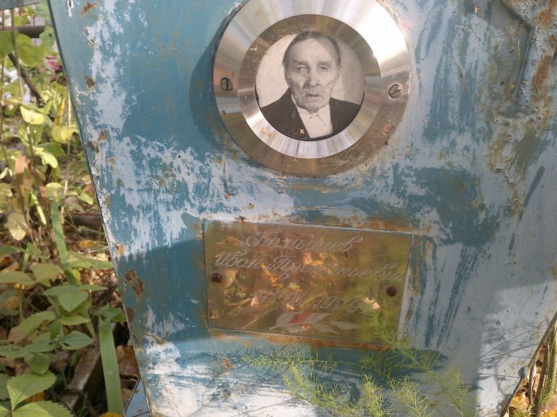 Камышев