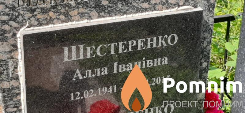 Шестеренко Алла Іванівна