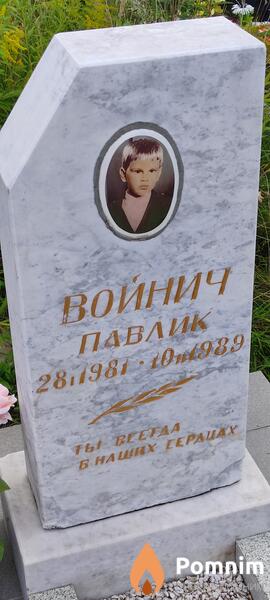 Войнич Павлик