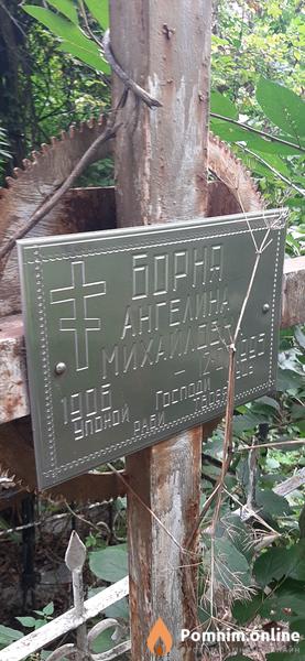 Борна Ангелина Михайловна