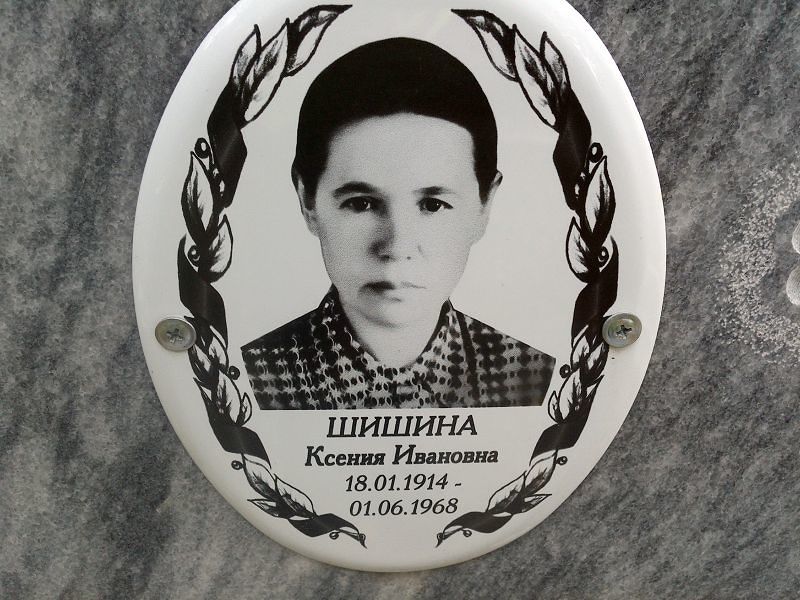 Шишина