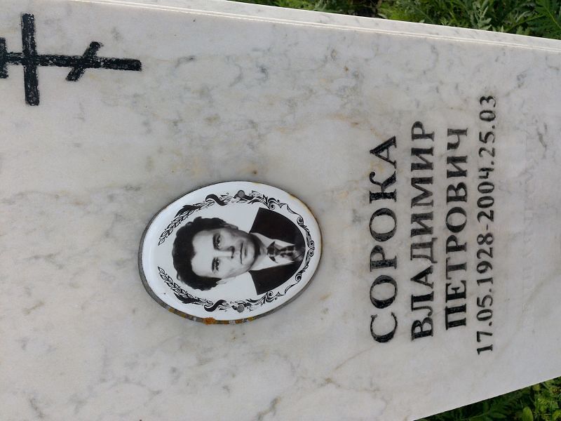 Сорока