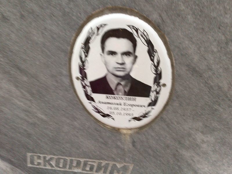 Кокоулин