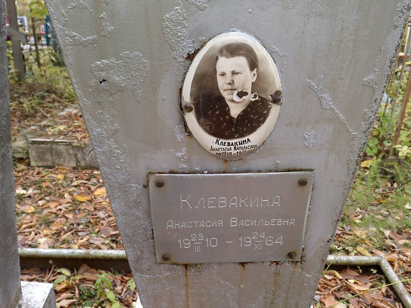 Клевакина Анастасия Васильевна