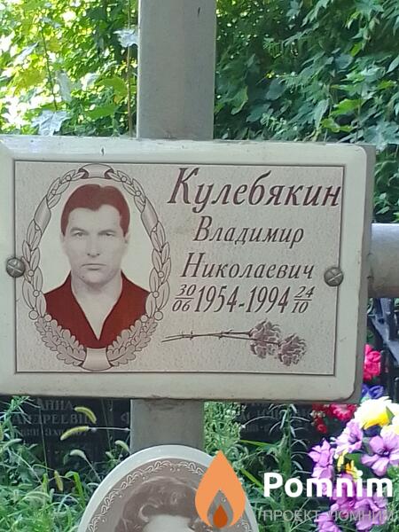 Кулебякин Владимир Николаевич