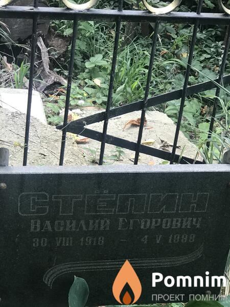 Стёпин Василий Григорьевич
