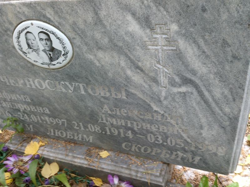 Черноскутов