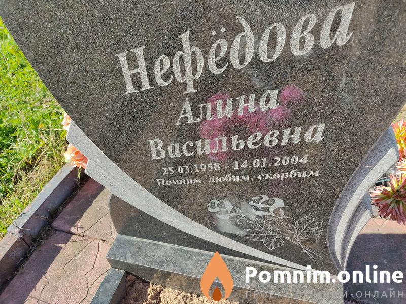 Нефёдова Алина Васильевна