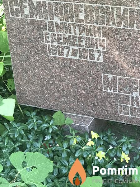 Семечаевский Дмитрий Семёнович