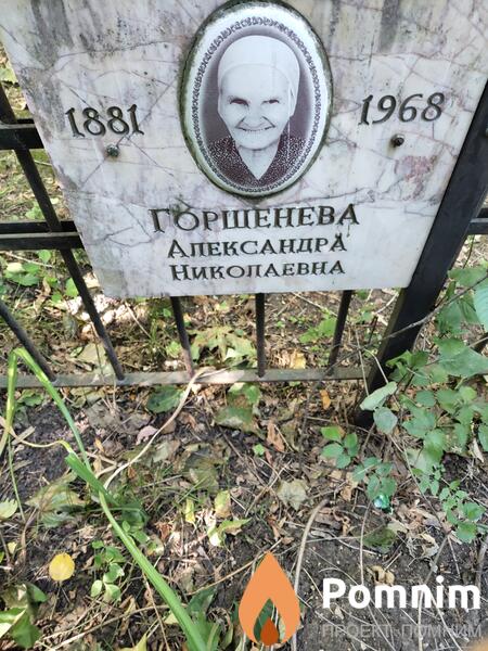 Горшенева Александра Николаевна