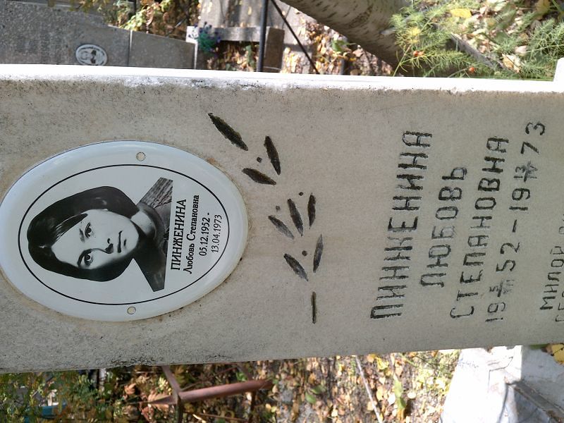 Пинженина