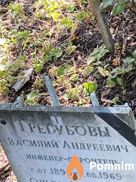 Трегубовы Василий Андреевич