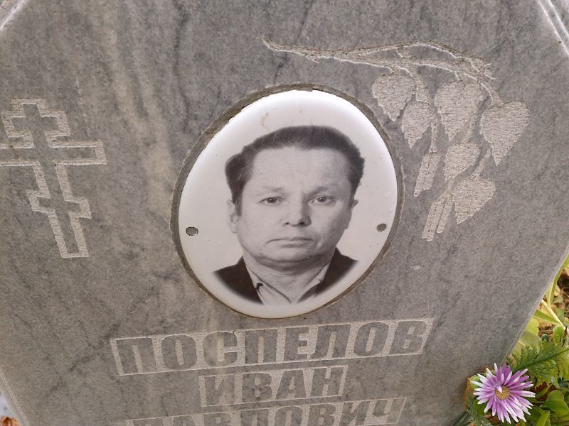 Поспелов