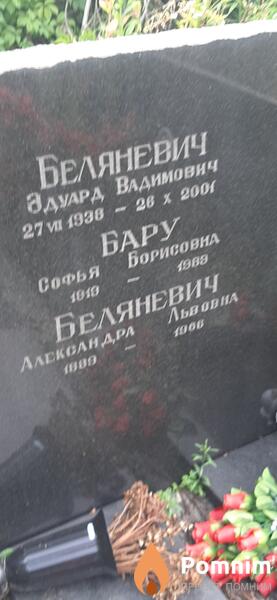 Беляневич Александра Вадимович