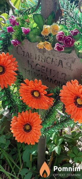 Ставинская Ксения Михайловна