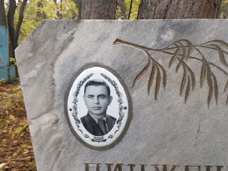 Пинженин