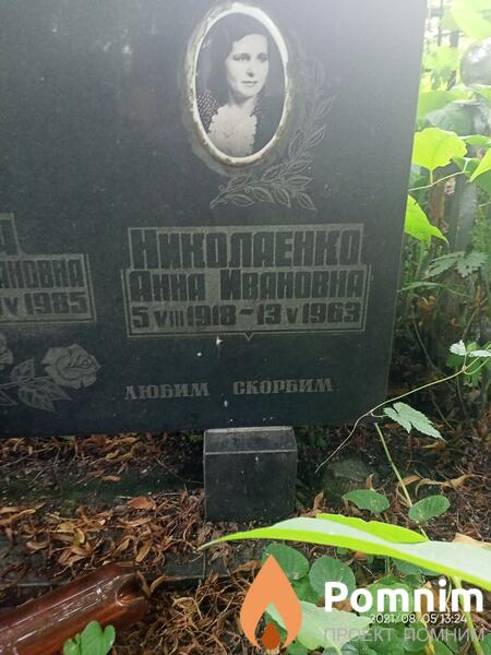 Николаенко Анна Ивановна