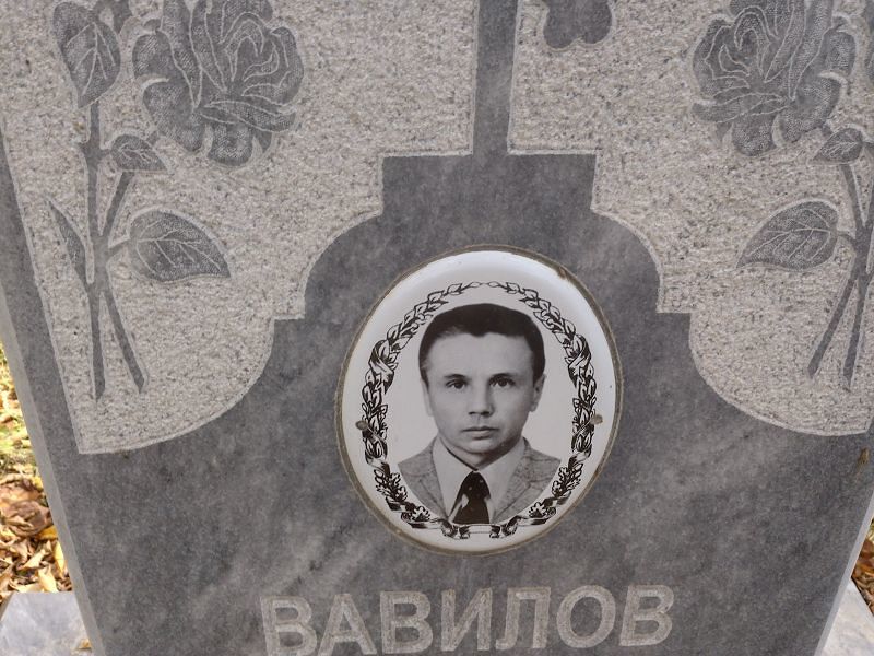 Вавилов